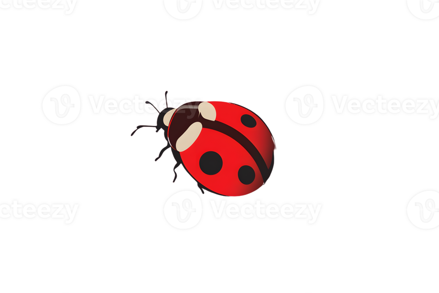 A vibrant ladybug perched on a red surface ideal for nature and insectthemed designs png