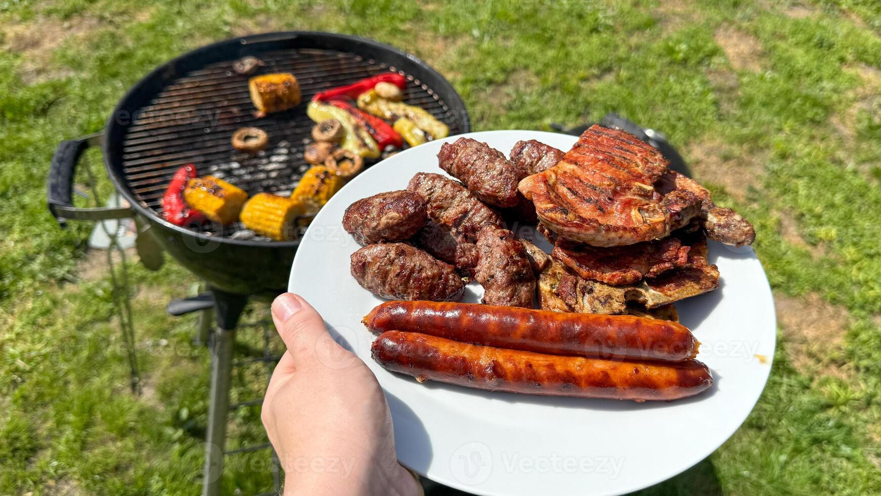 A persons hand holding a plate of grilled meats next to a barbecue, summer picnic, Independence Day celebration photo