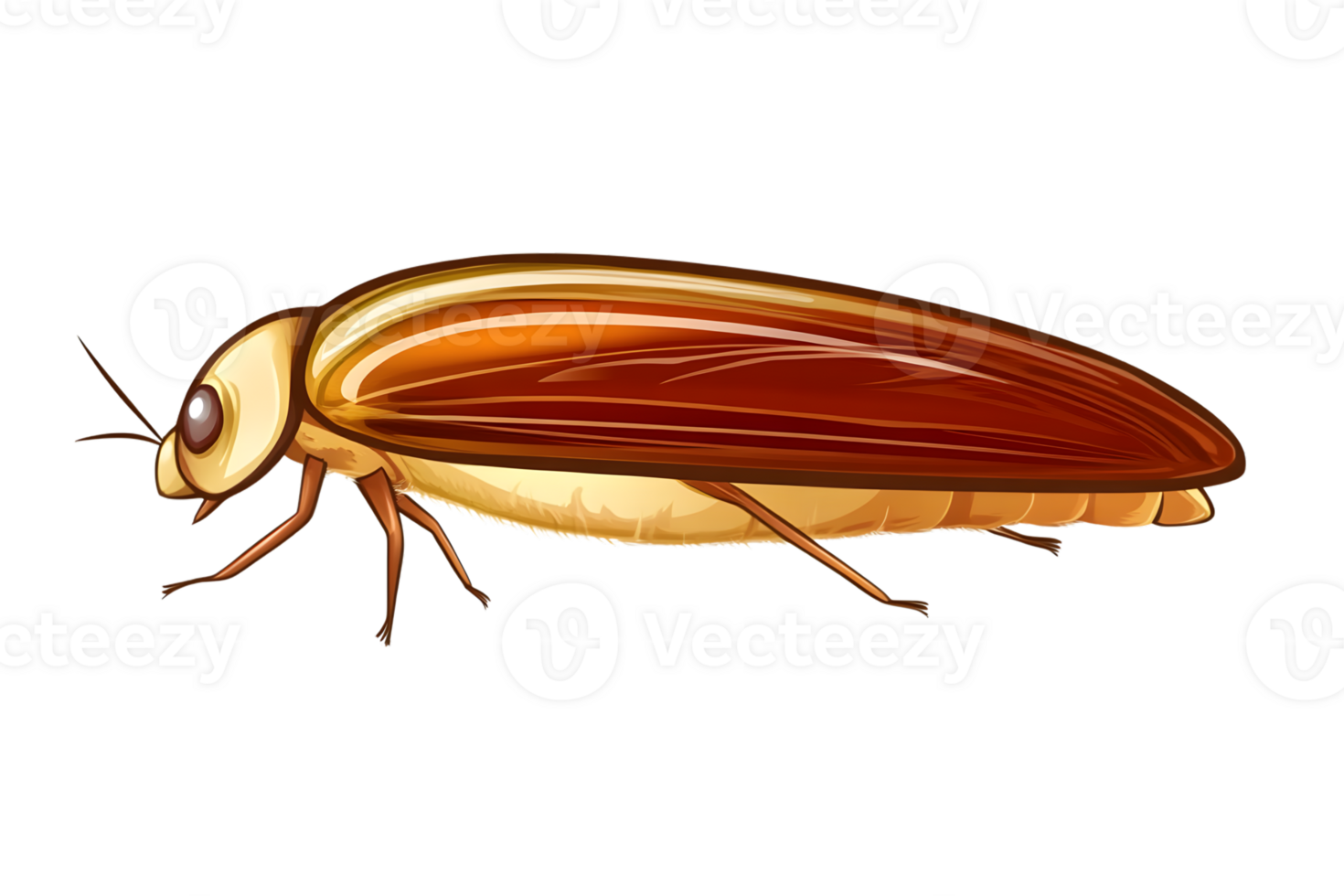 Brown insect illustration detailed closeup insect anatomy wildlife nature entomology bug png