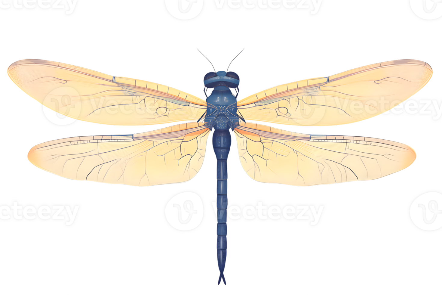 Detailed Illustration of a Dragonfly with Intricate Wings and Blue Body for Nature and Design P png