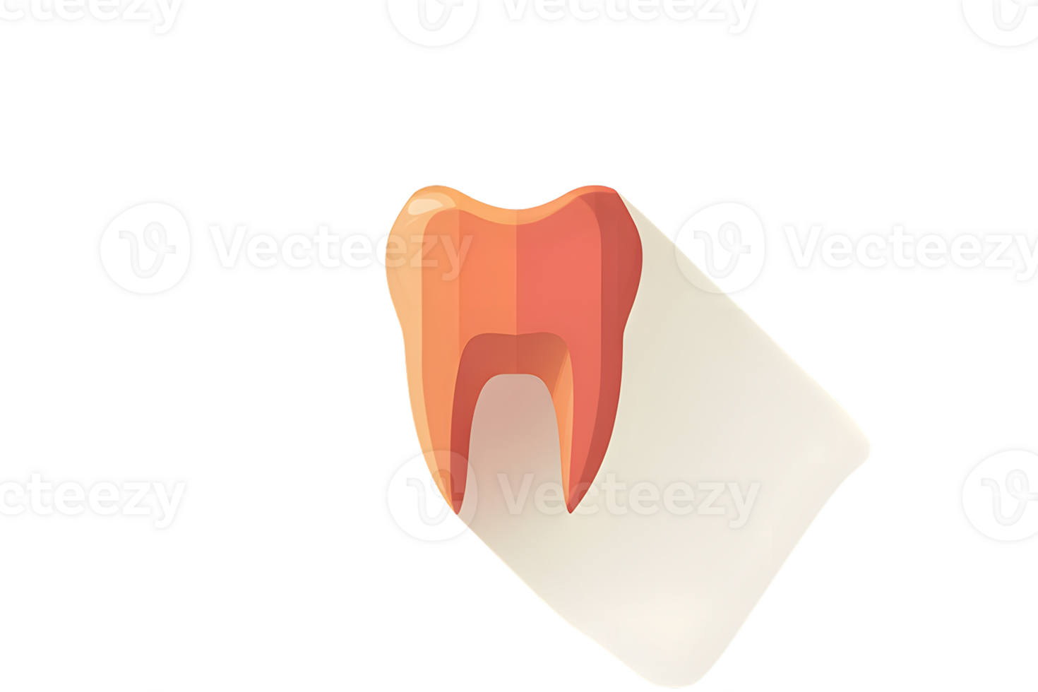 Detailed Illustration of a Tooth CrossSection Highlighting Dental Anatomy and Structure for Ed png