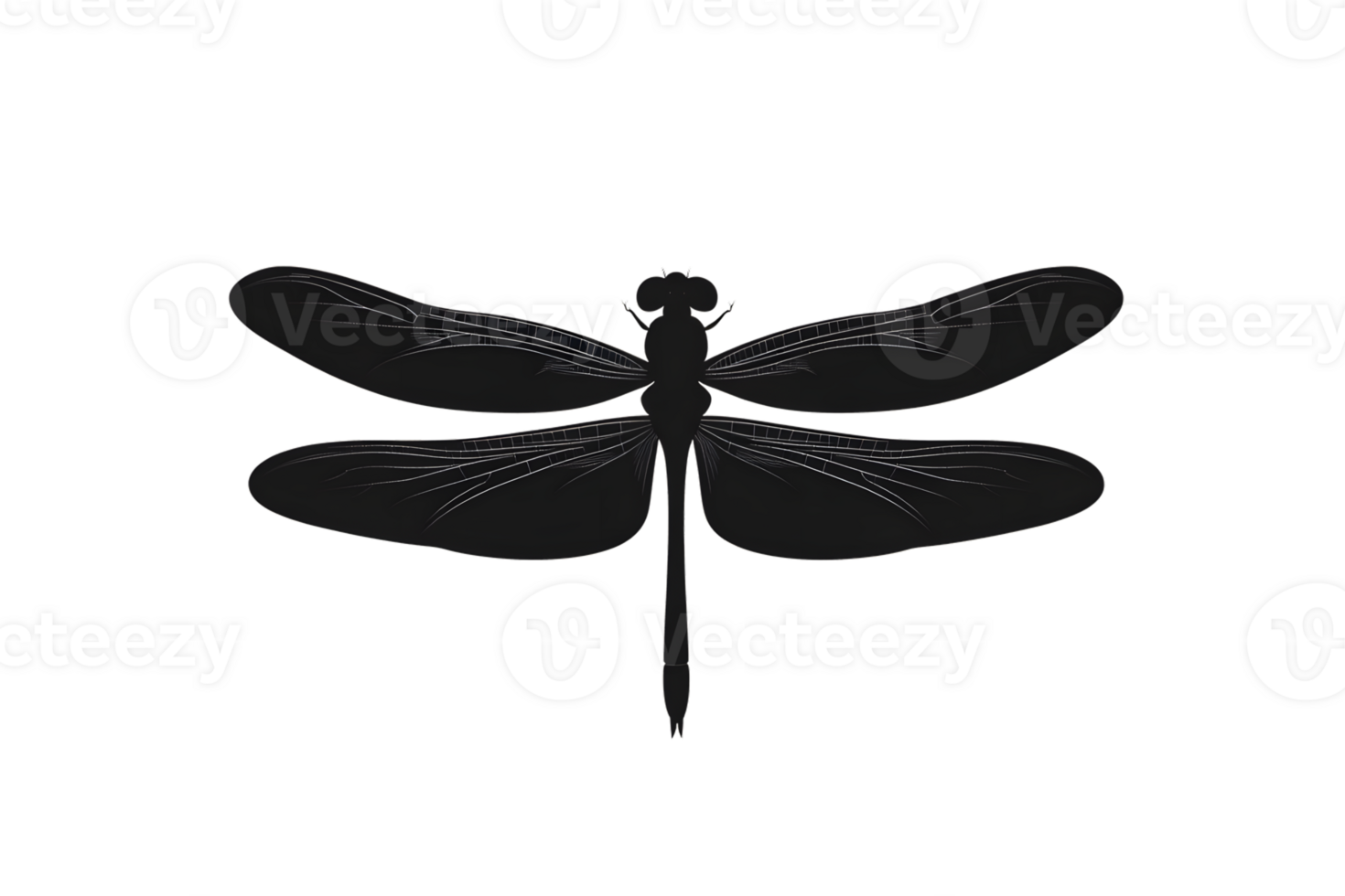 Detailed Silhouette of a Flying Insect with Transparent Wings Ideal for Nature and Wildlife De png