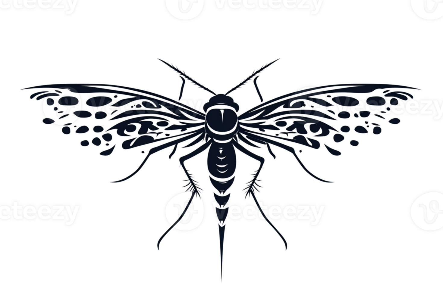 Insect Silhouette with Intricate Wings and Body Details png
