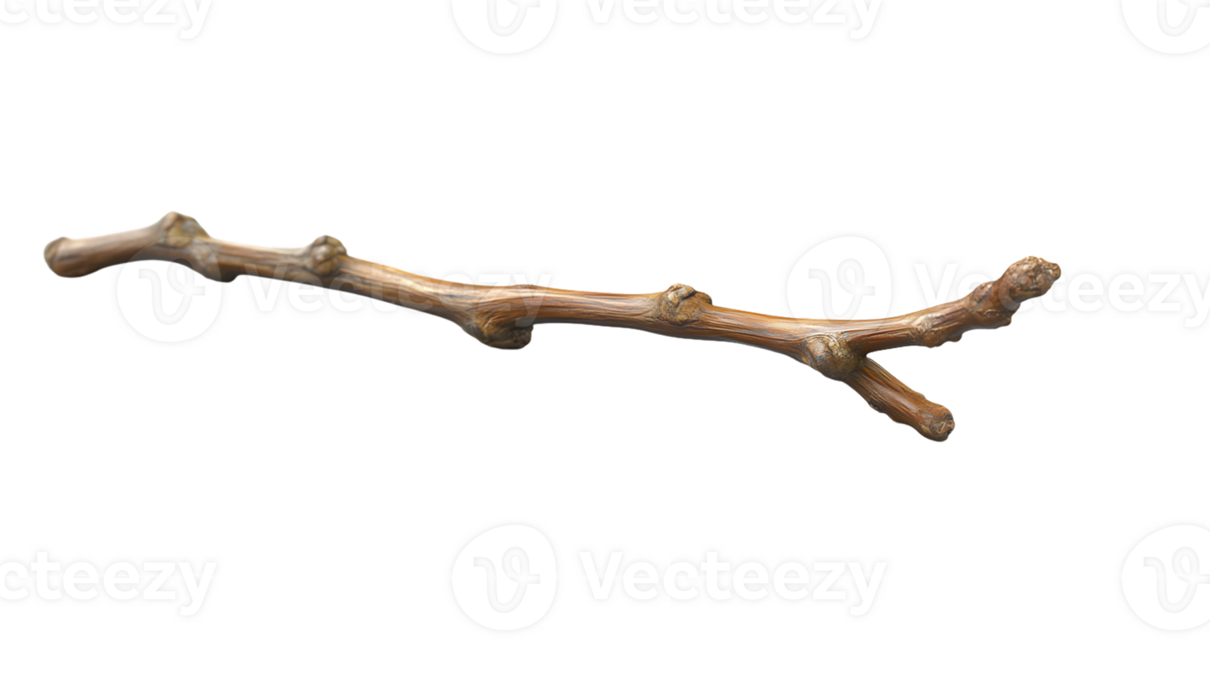 A detailed branch with intricate textures and natural curves ideal for naturethemed designs a png