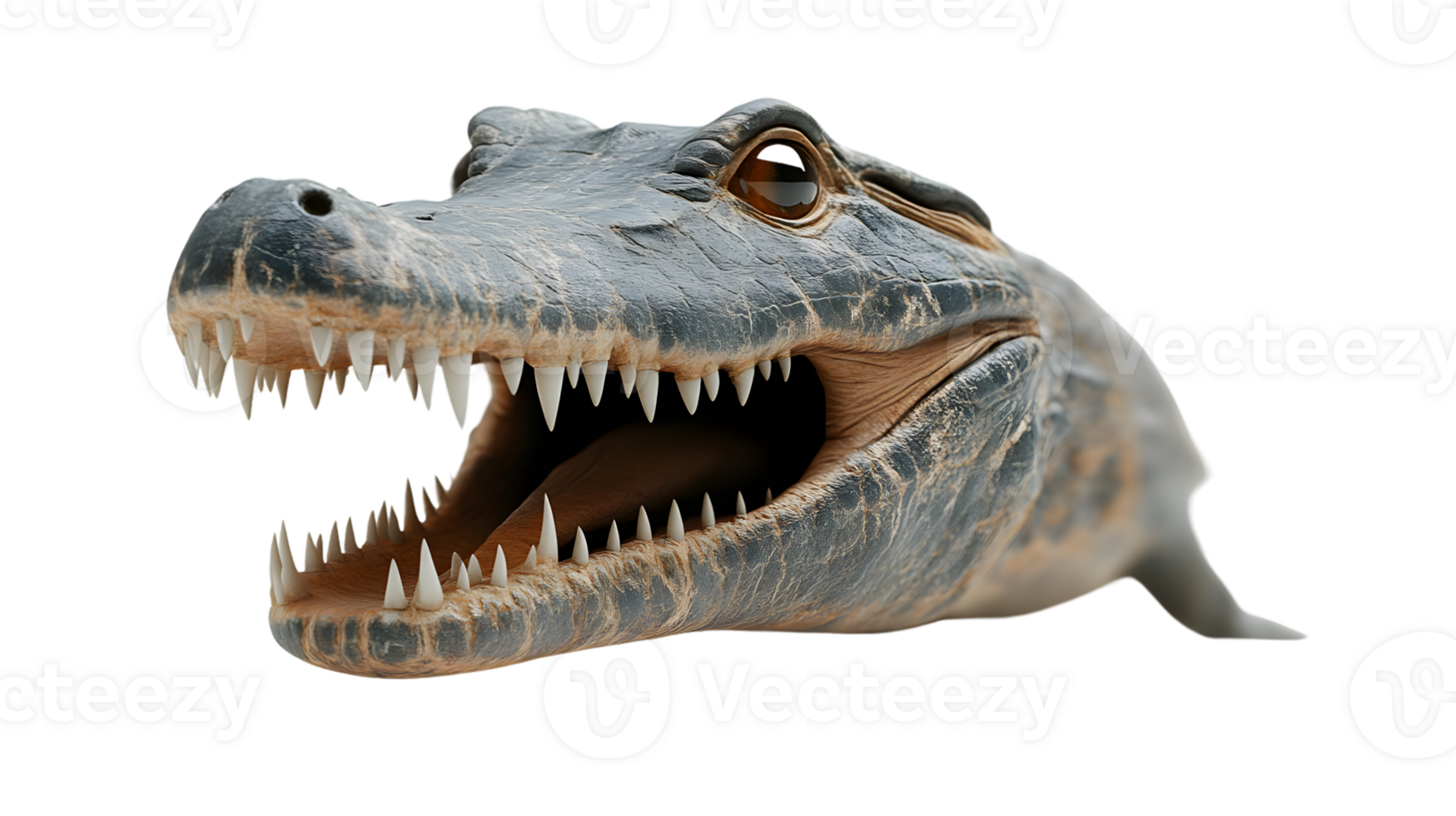 A fierce reptile with an open mouth showcasing sharp teeth and detailed scales perfect for wil png