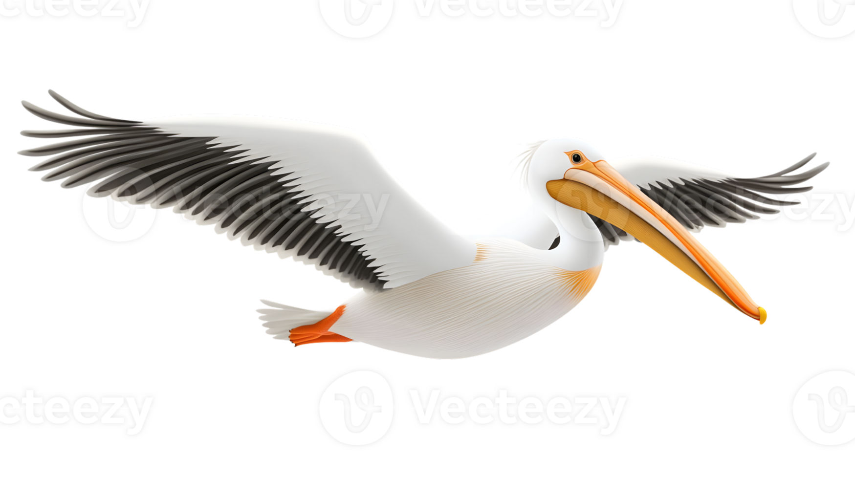 A majestic bird in flight with outstretched wings showcasing its vibrant plumage and distincti png