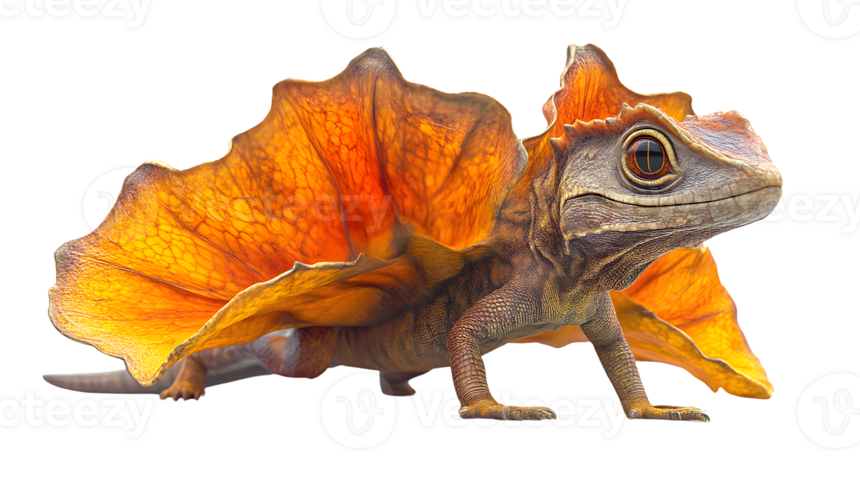 Digital rendering of a frilled lizard with vibrant orange frill showcasing intricate details a png