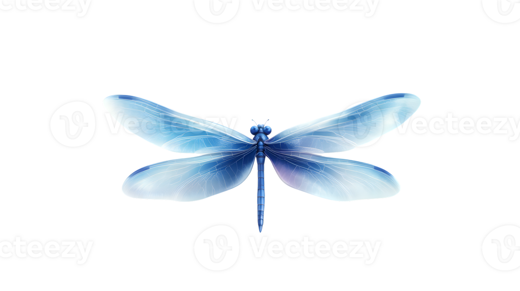 Elegant Blue Dragonfly with Transparent Wings on Black Background png