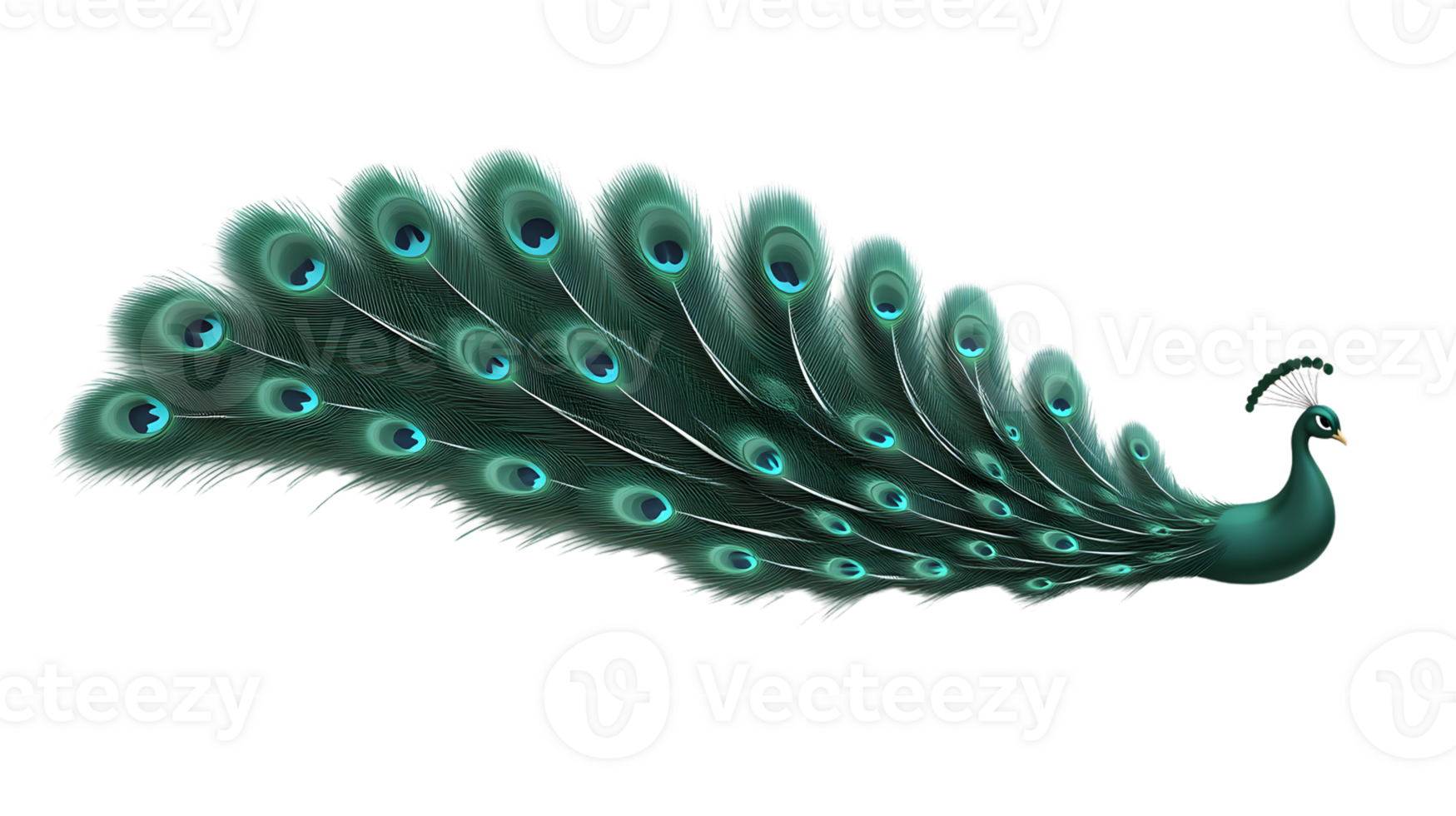 Elegant Peacock Displaying Vibrant Feathers with Eyecatching Patterns and Rich Colors png