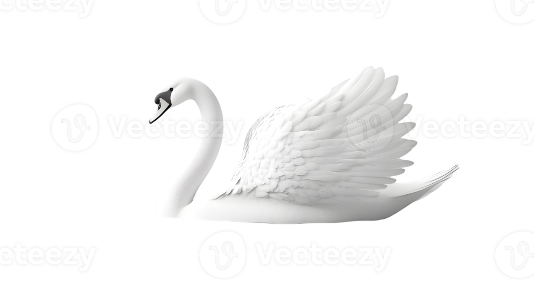 Elegant White Bird with Spread Wings on Transparent Background Perfect for Nature and Wildlife png