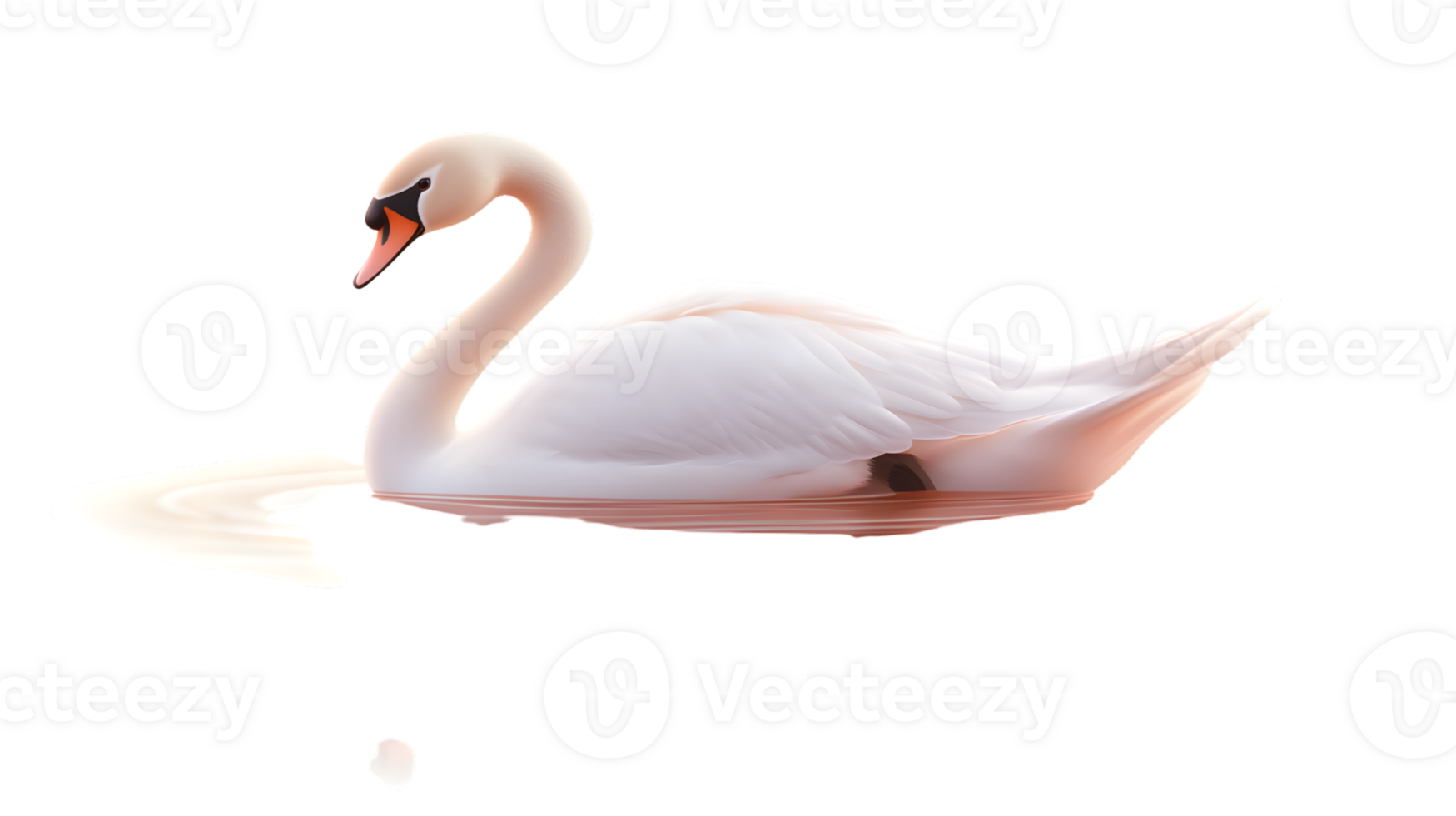 Elegant White Swan Floating on Water Graceful Bird with Long Neck and Orange Beak Perfect for png