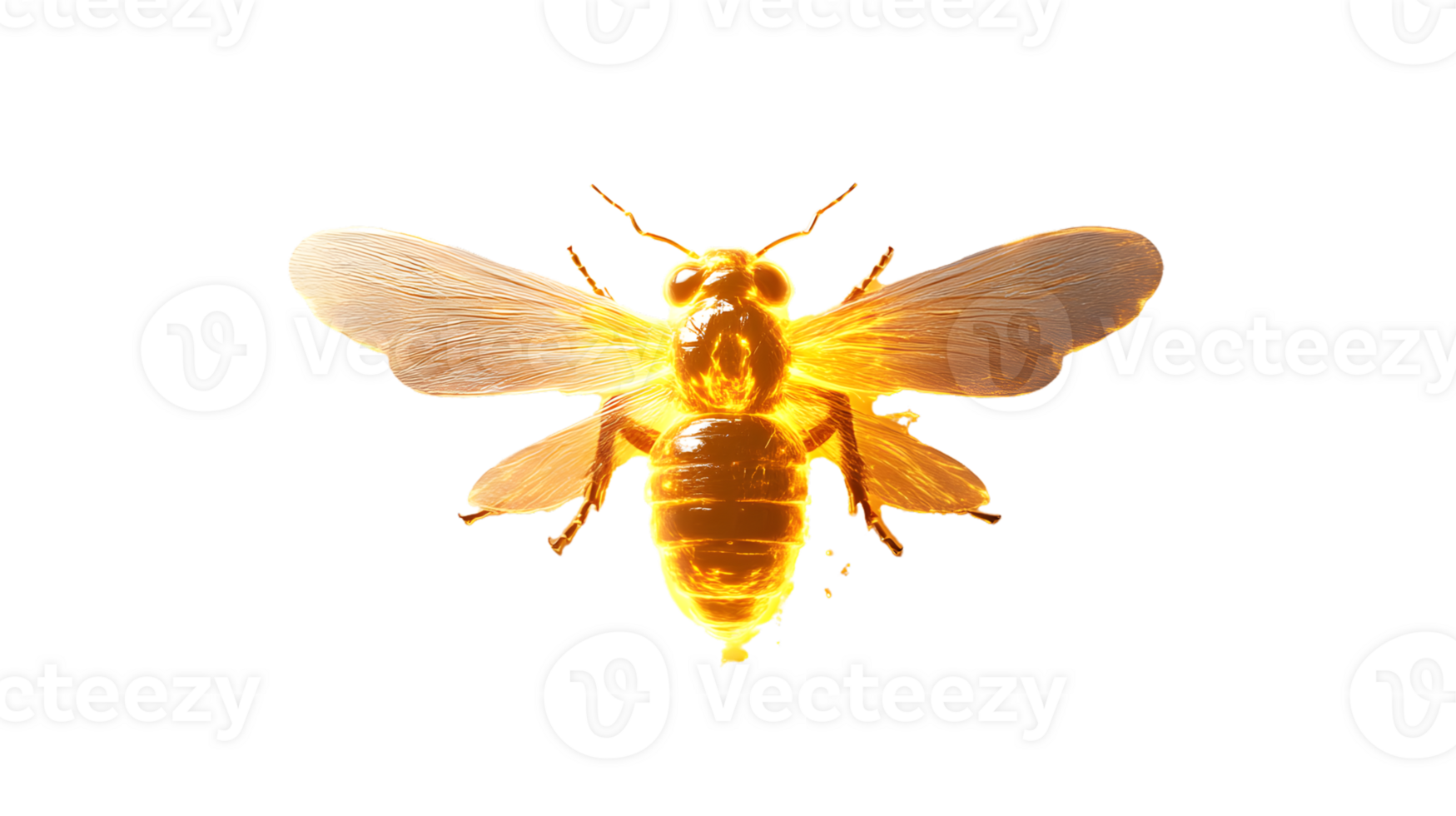 Golden Bee in Flight Radiant Wings and Shimmering Body on a Dark Background png
