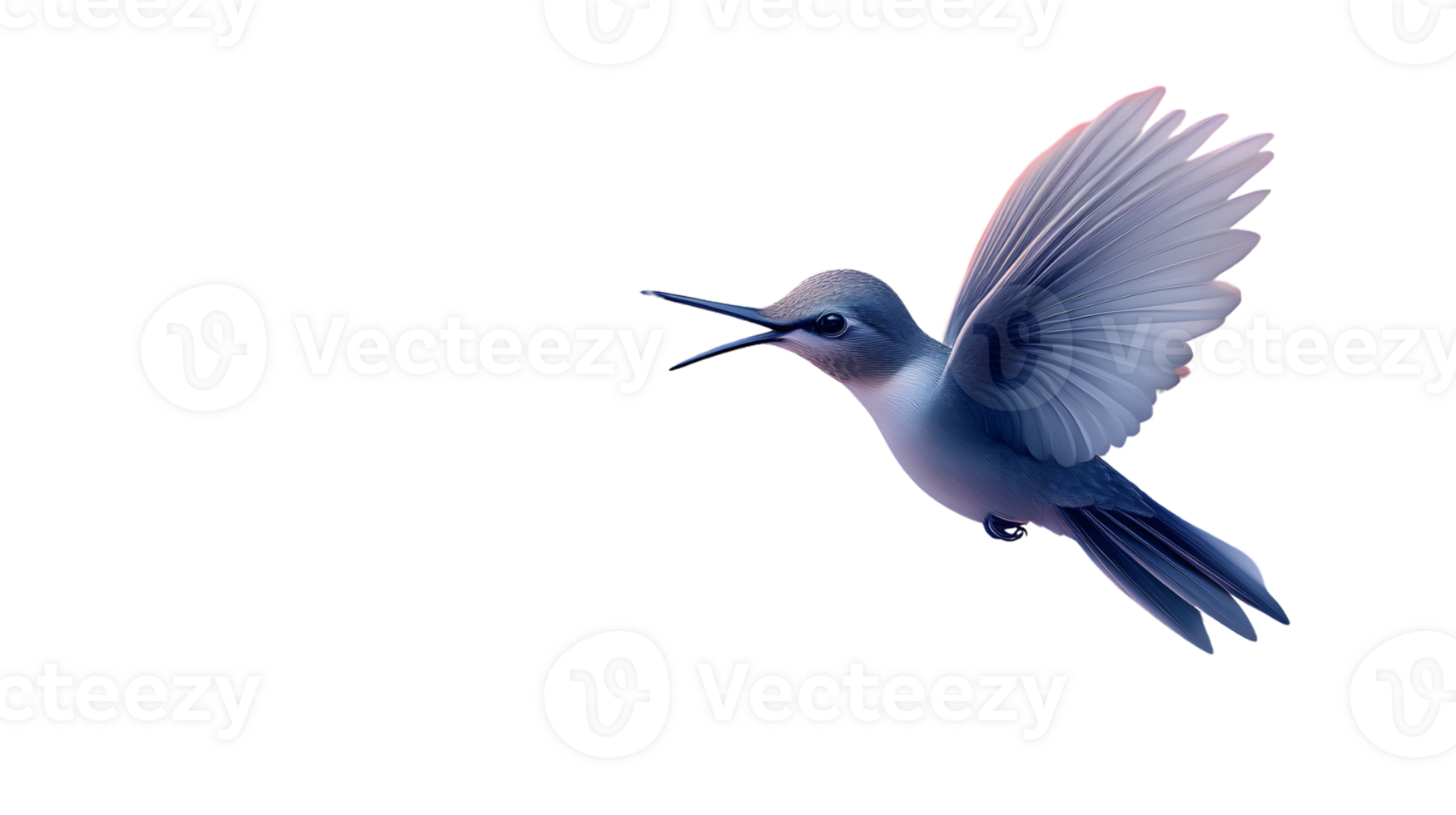 Graceful Hummingbird in Flight with Detailed Feathers and Extended Wings on a Black Background png