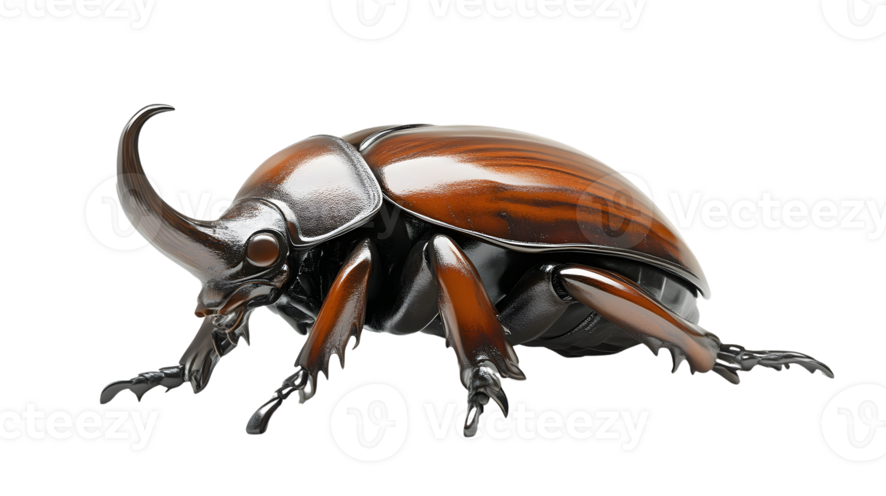 Highresolution image of a large beetle with a prominent horn png