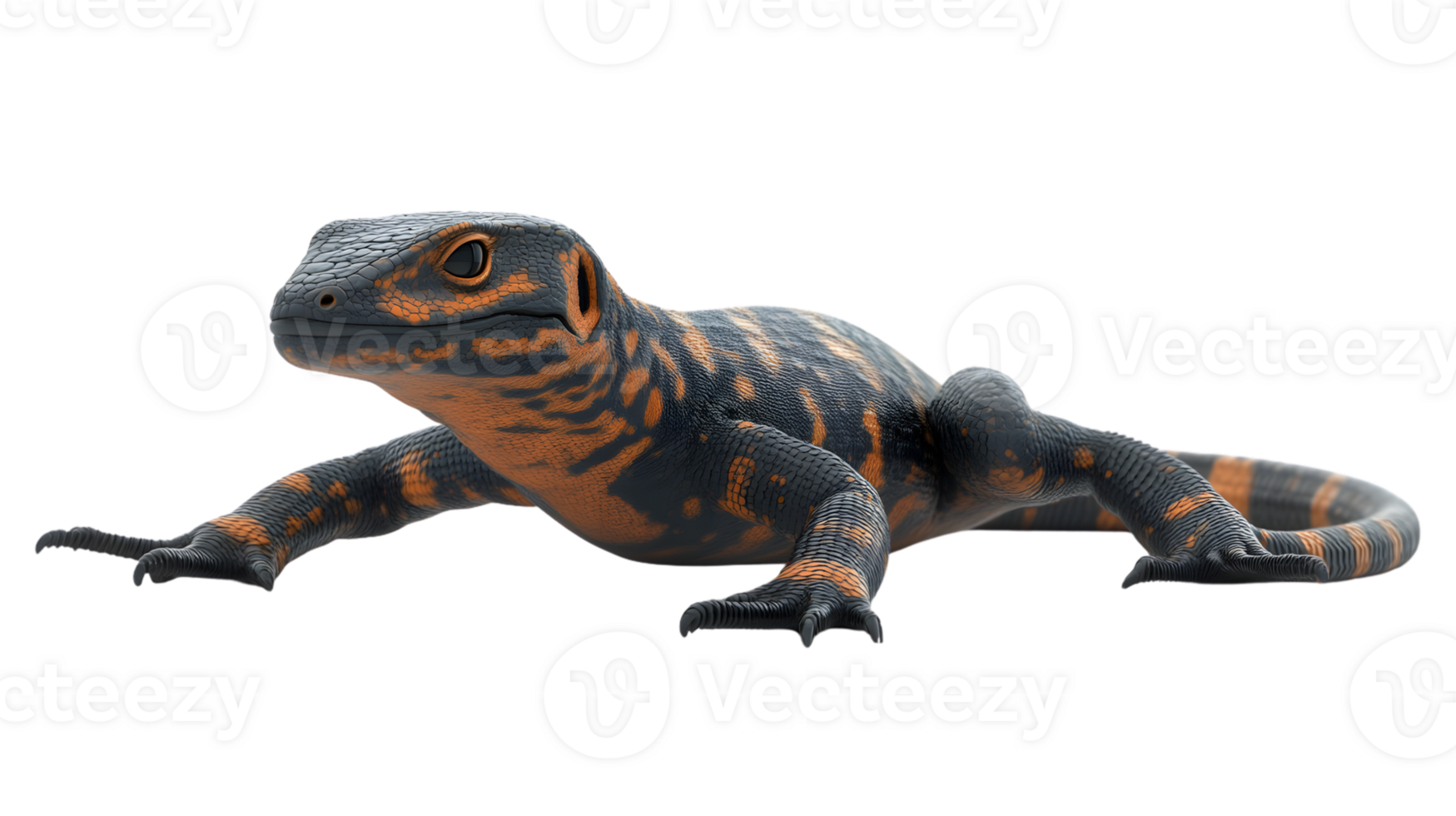 Reptile with striking orange and black patterns perfect for nature wildlife and educational png