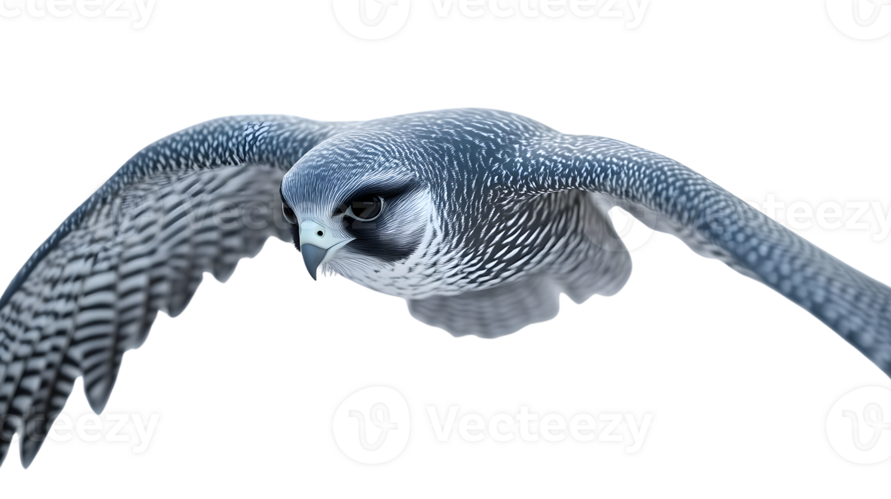 Soaring Bird in Flight with Detailed Feathers and Expressive Eyes png