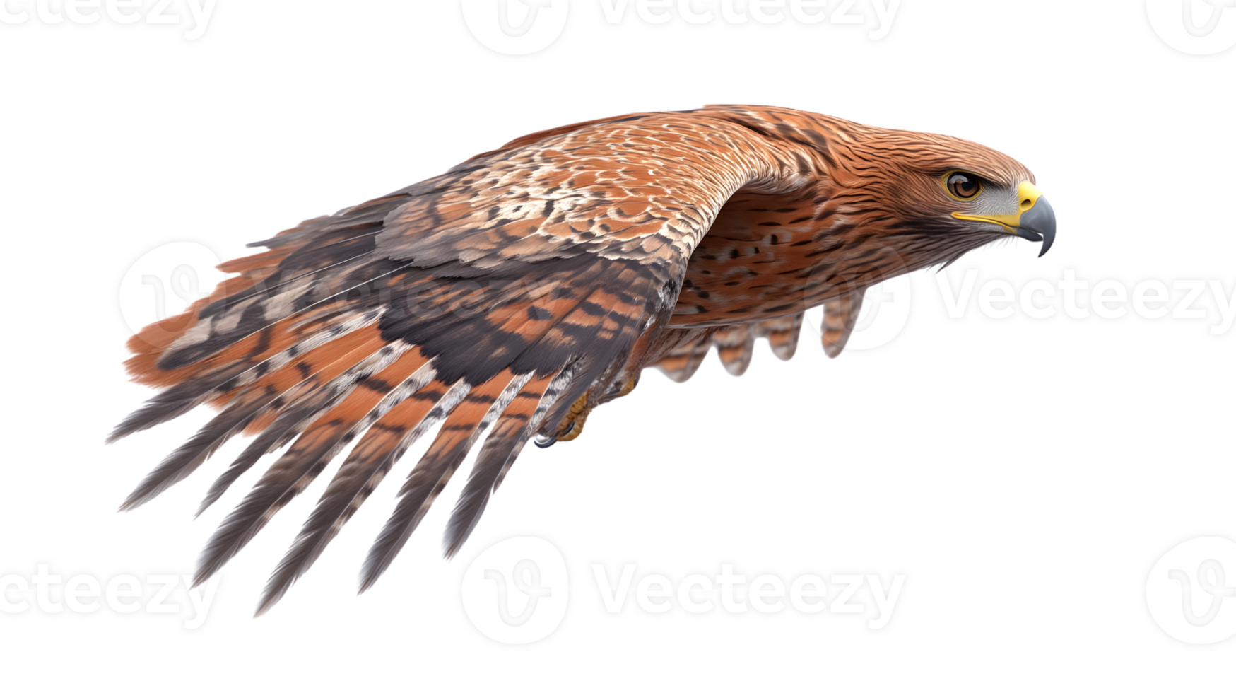 Soaring Bird in Flight with Detailed Feathers and Sharp Talons Perfect for Wildlife Nature a png