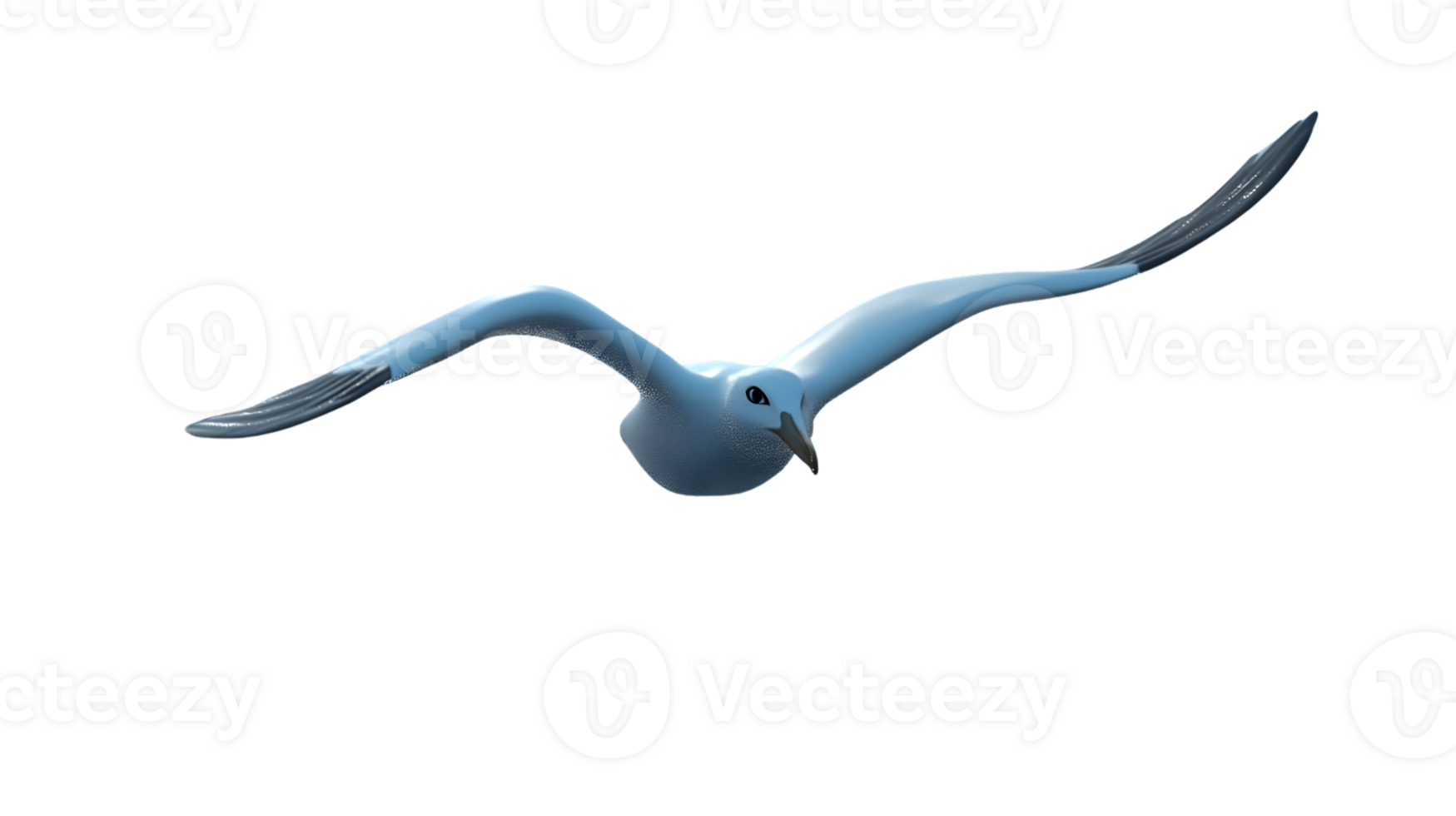 Soaring Bird in Flight with Extended Wings Detailed Feathers and Dynamic Pose for Nature Wil png