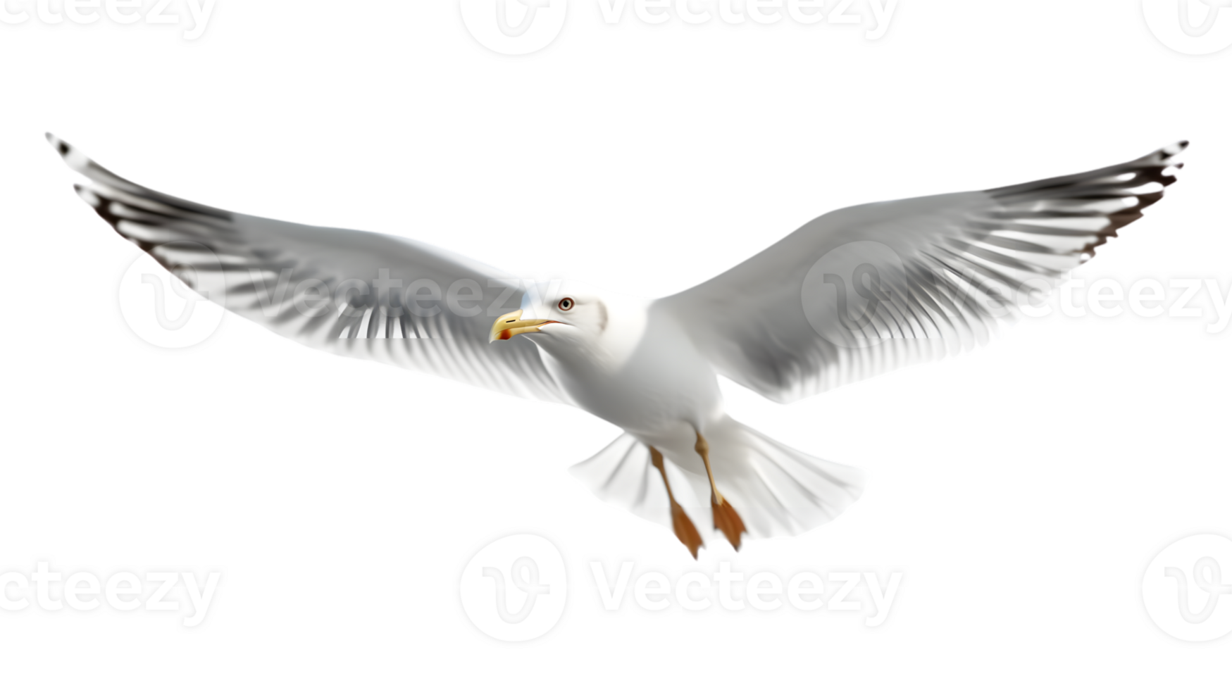 Soaring Seagull in Flight with Detailed Feathers and Extended Wings Perfect for Nature Wildli png