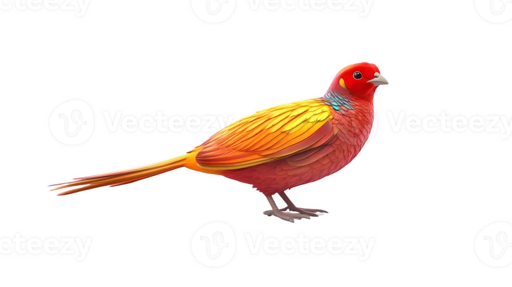 Vibrant Bird with Detailed Feathers and Colorful Plumage for Nature and Wildlife Themes png