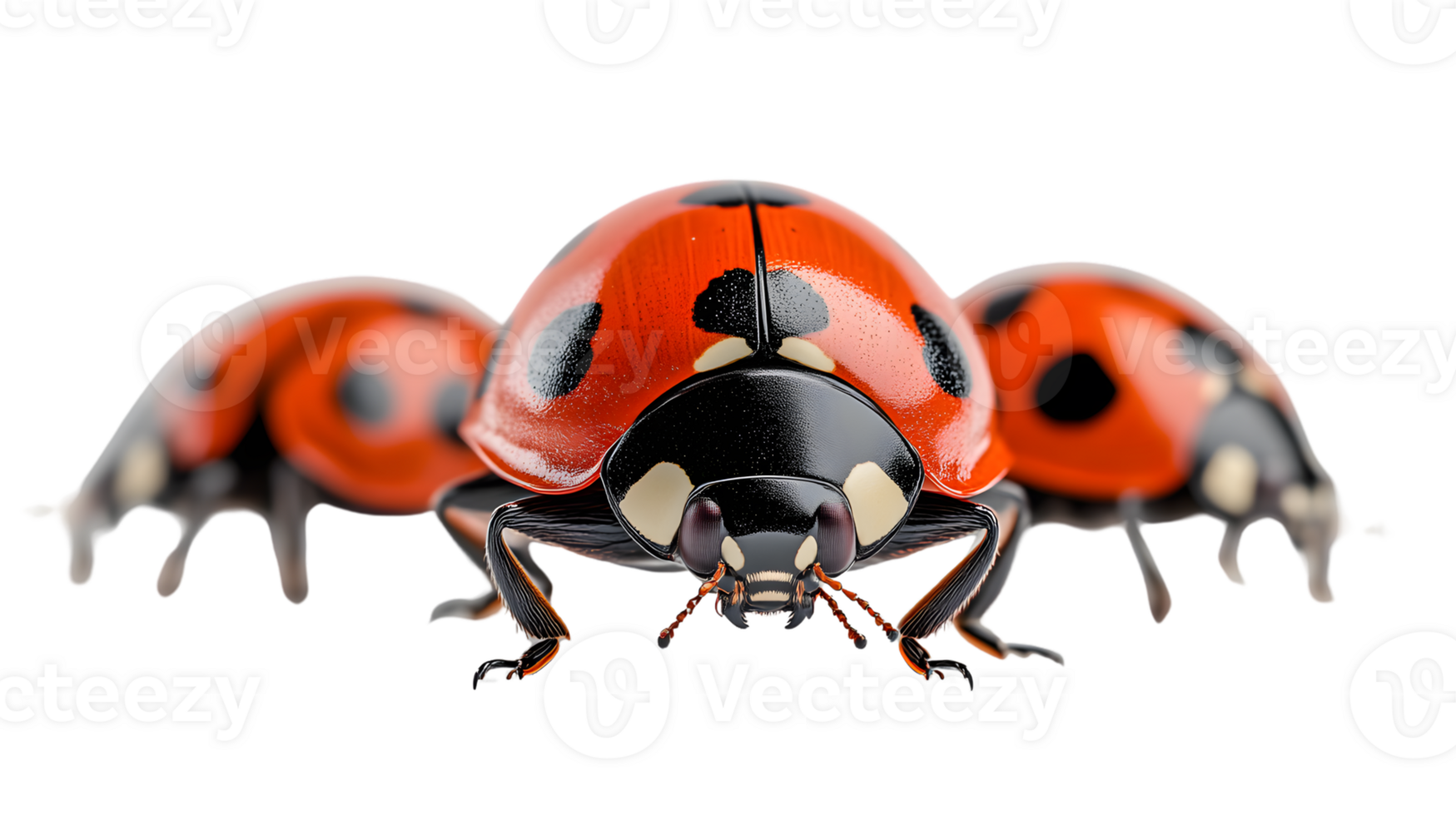 Vibrant Ladybug in Flight with Dynamic Motion Blur Perfect for Nature and Wildlife Themes png