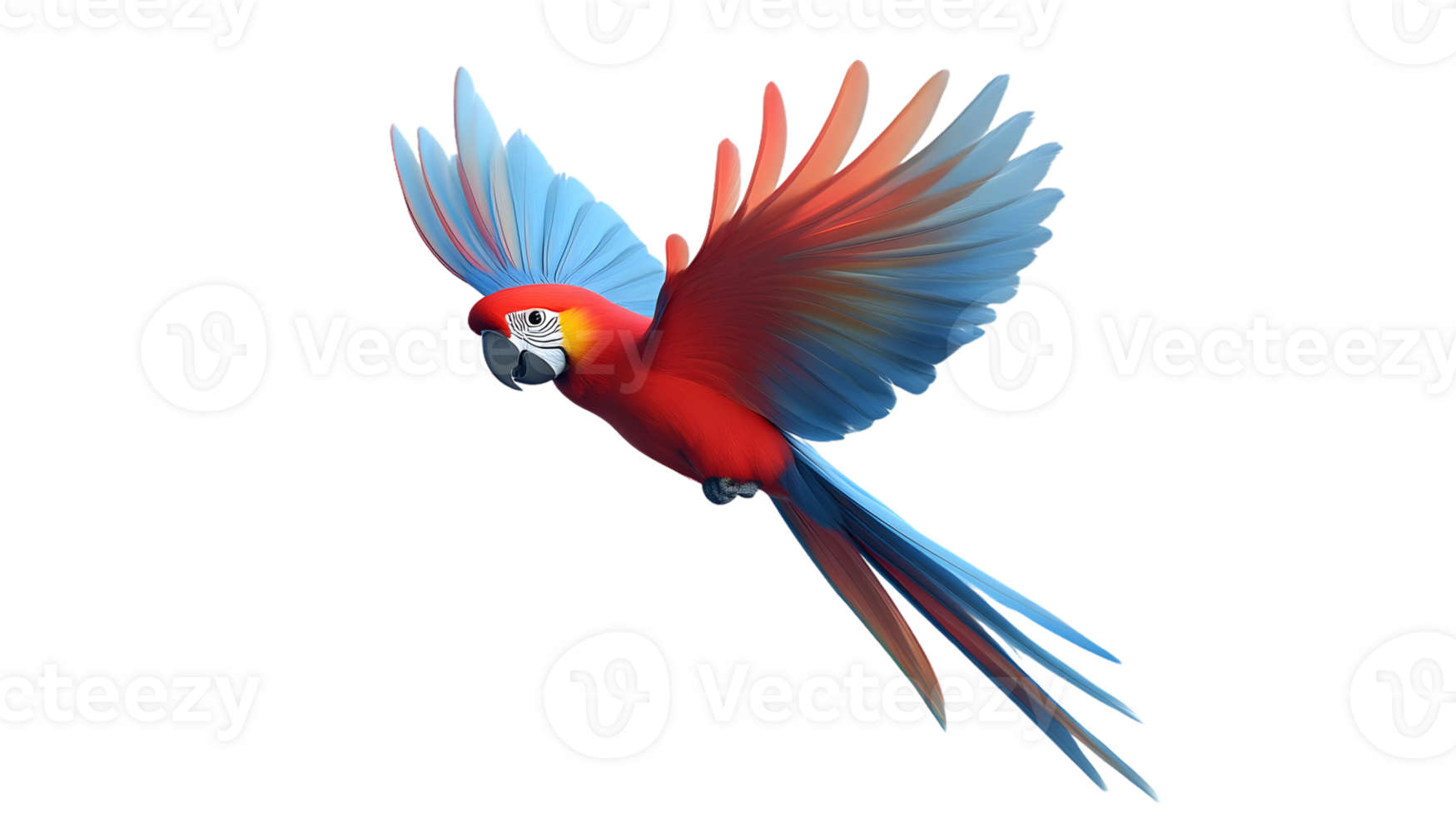 Vibrant Parrot in Flight with Detailed Feathers and Dynamic Wingspan Ideal for Nature Wildlif png