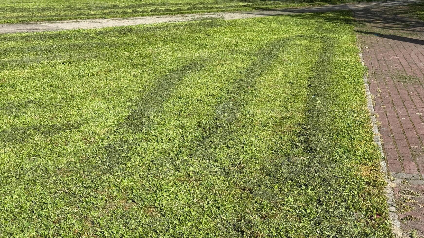 Green grass lawn bordered by a brick path in sunny park, perfect for spring picnics or Earth Day events photo