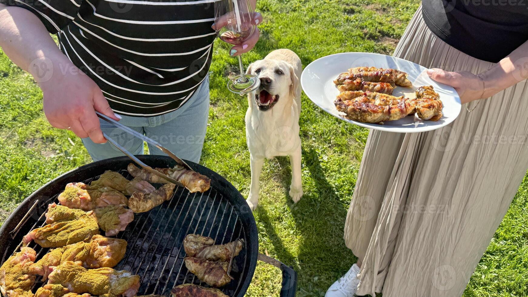 Two Caucasian individuals grilling chicken outdoors with a cheerful Labrador, summer picnic, family barbecue, sunny holiday gathering photo