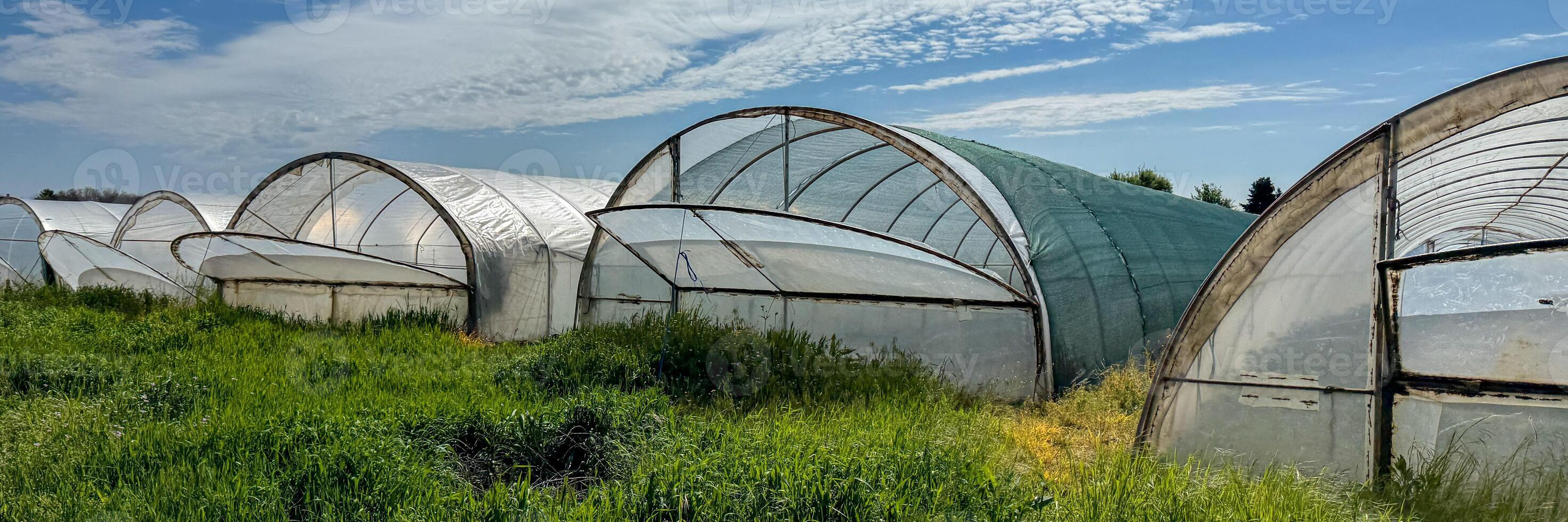 Sprawling greenhouses embrace verdant wildness, whispering stories of perpetual Spring, echoing Earth Days call for sustainable serenity photo