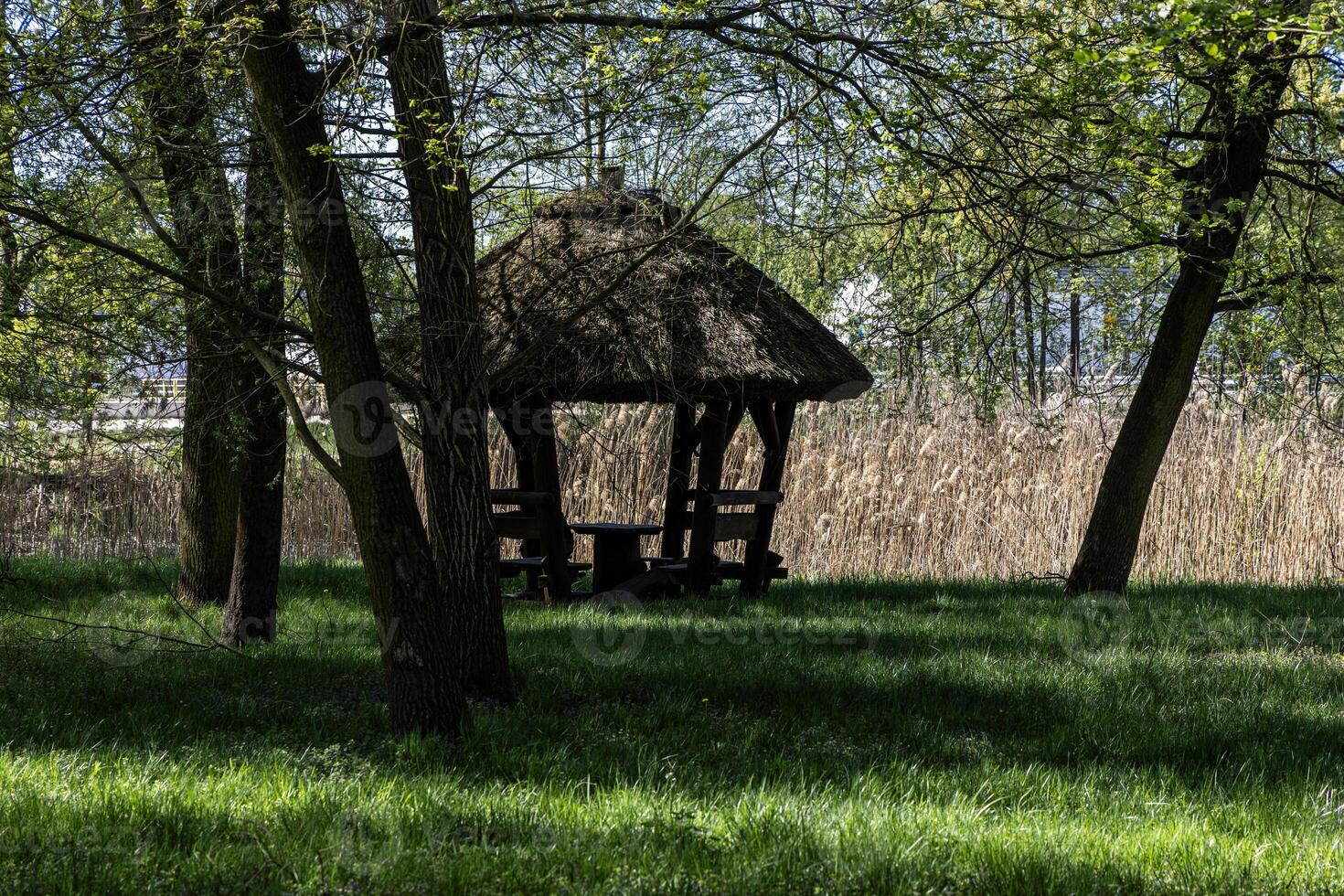 Wooden gazebo with a roof covered with straw for a picnic and rest in the park under spring oaks. Poland photo