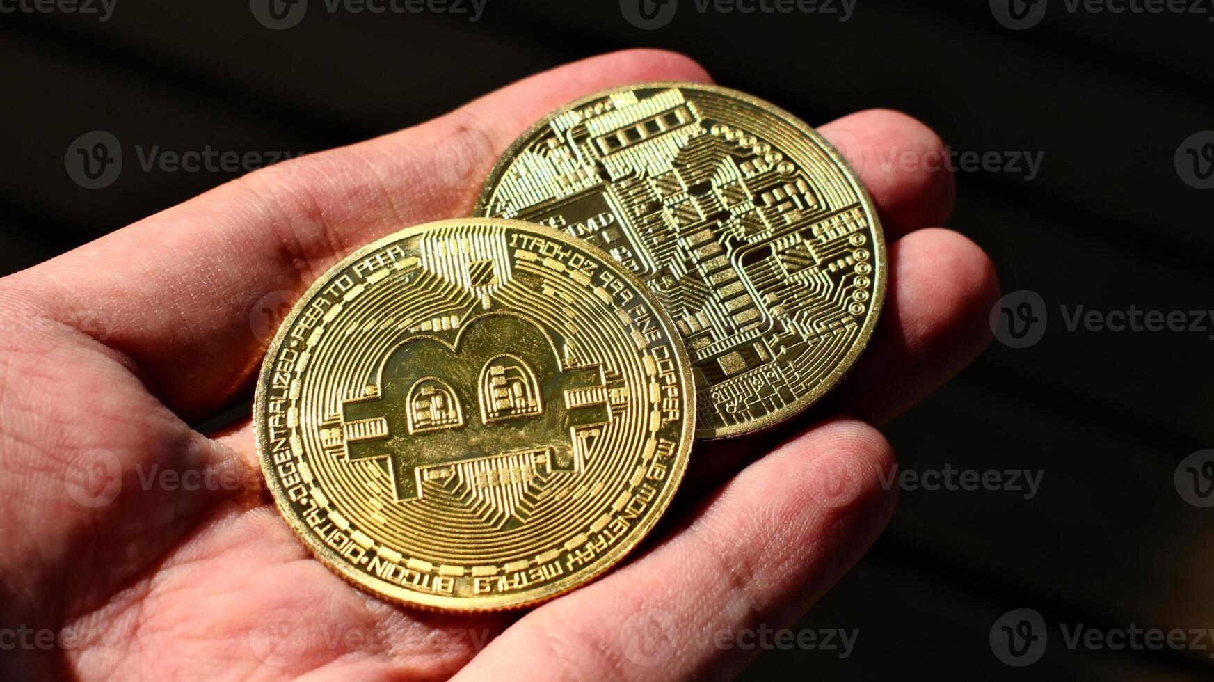 hand holding two golden Bitcoin physical coins, digital investment and blockchain technology photo