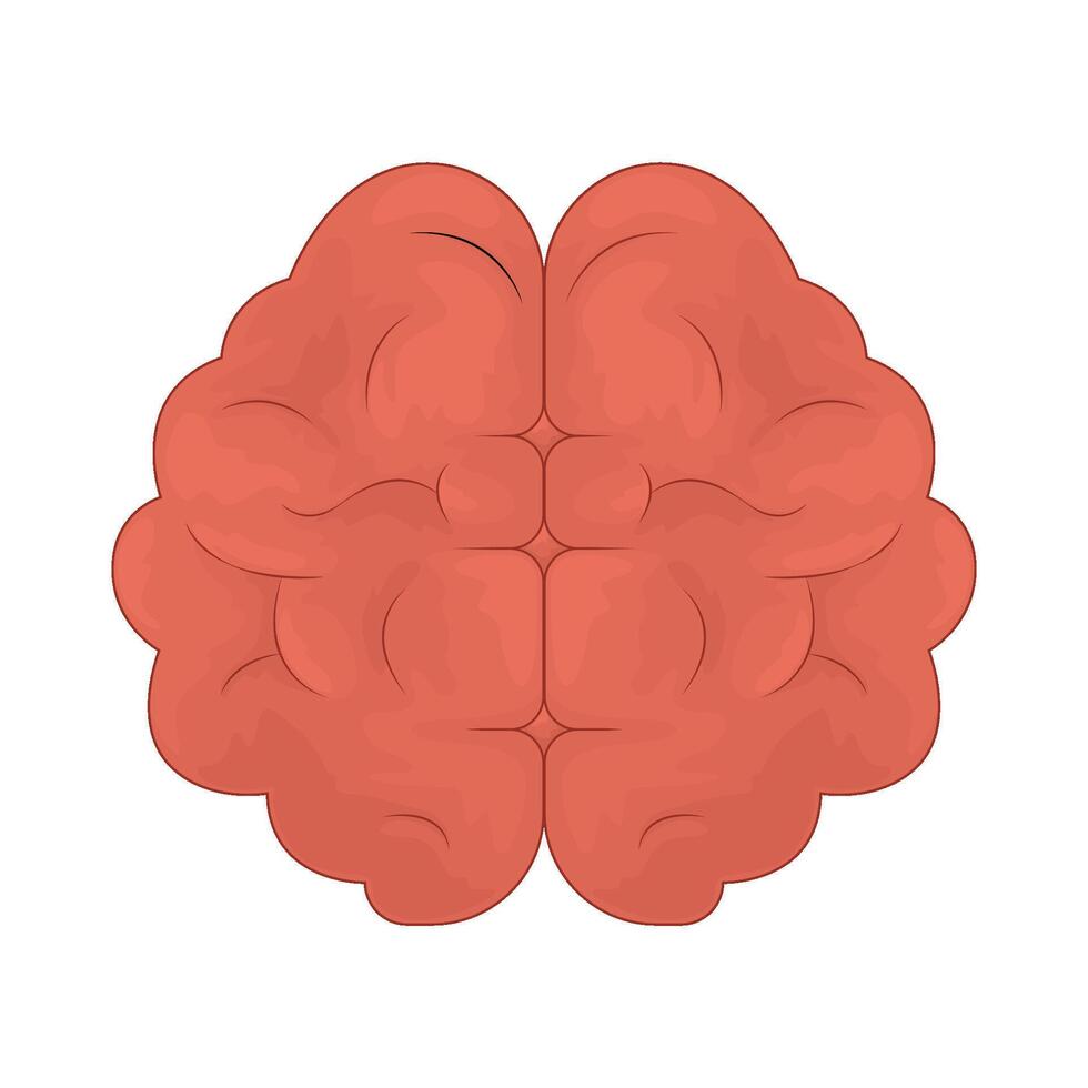 illustration of a brain vector