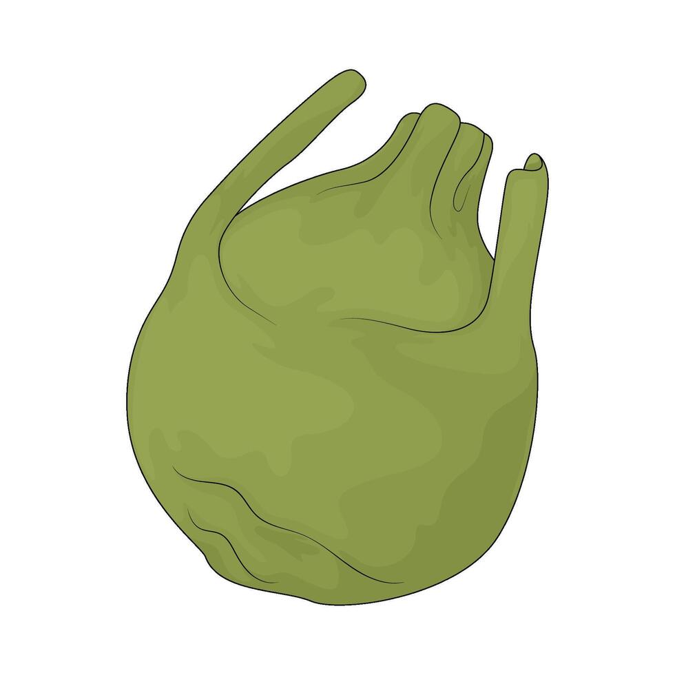 green kohlrabi illustration vector