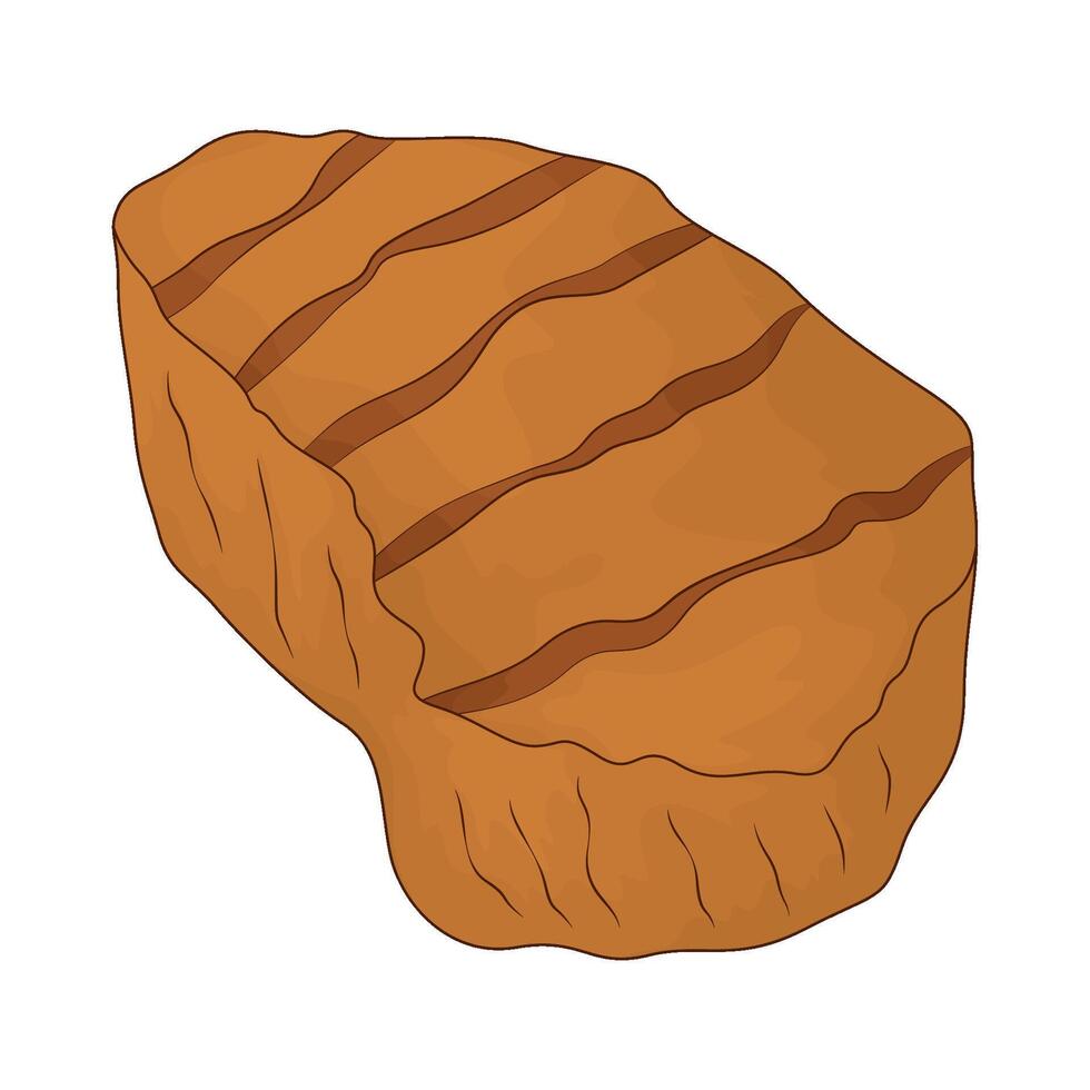 delicious steak illustration vector
