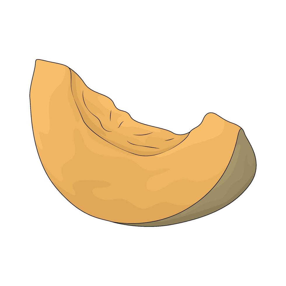pumpkin slices illustration vector