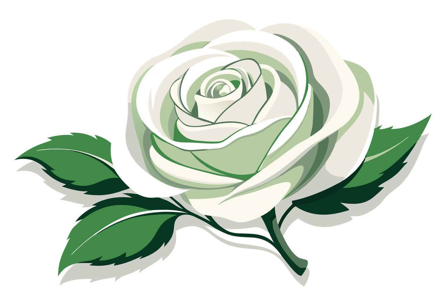 A delicate white rose with lush green leaves, perfect for floral design. vector