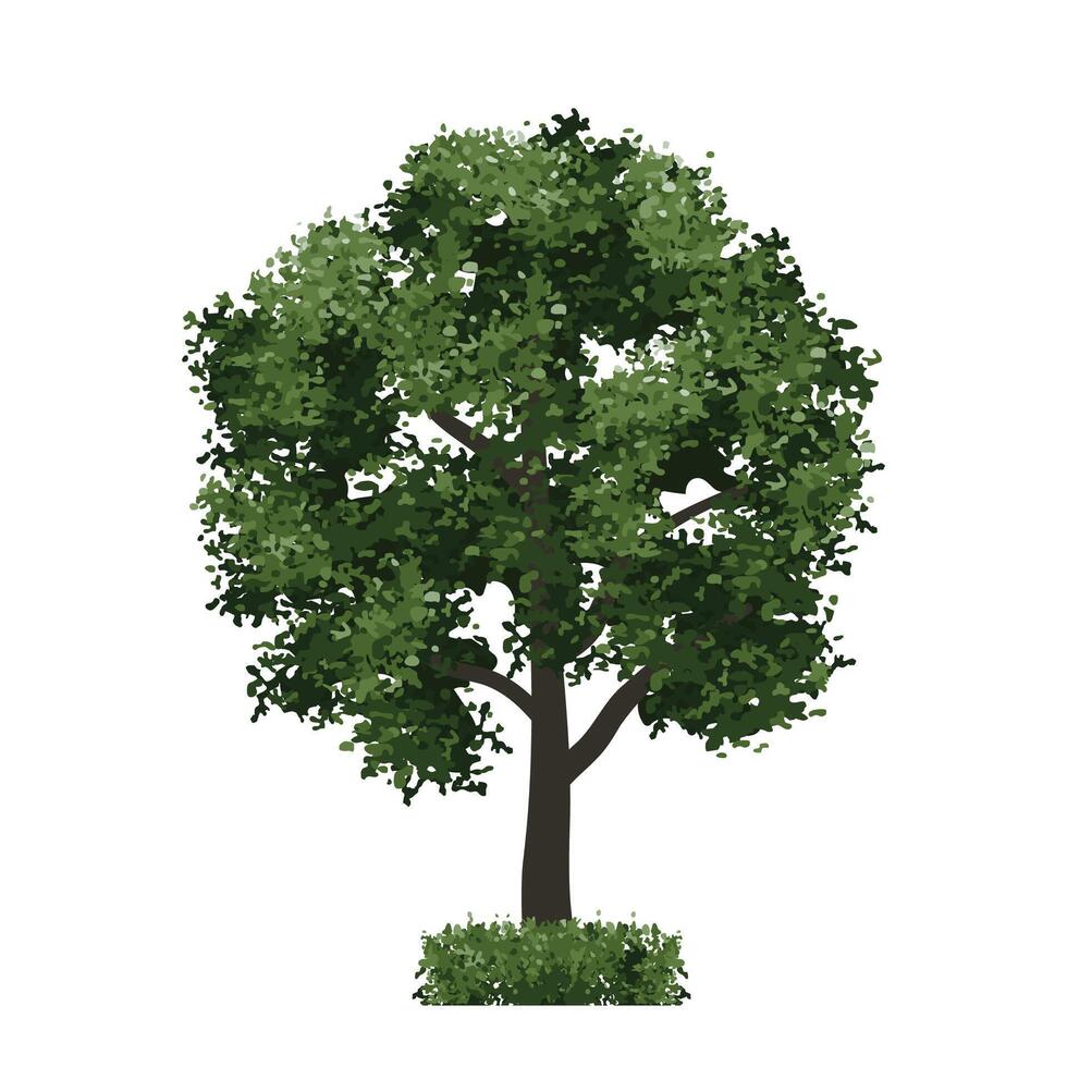 Big tree isolated on white background. Landscape object for outdoor graphic, architecture drawing, elements for environment. vector