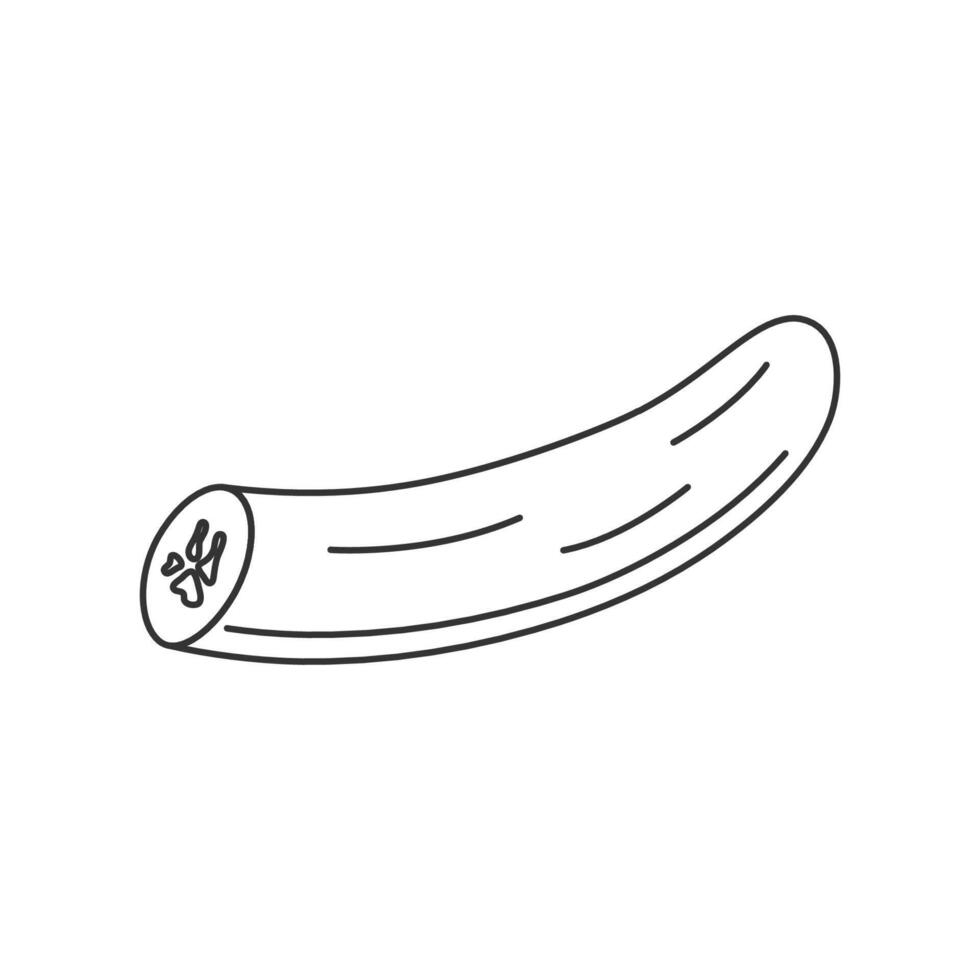 Peeled banana icon without peel. Hand drawn tropical outline cutted fruit in doodle style vector