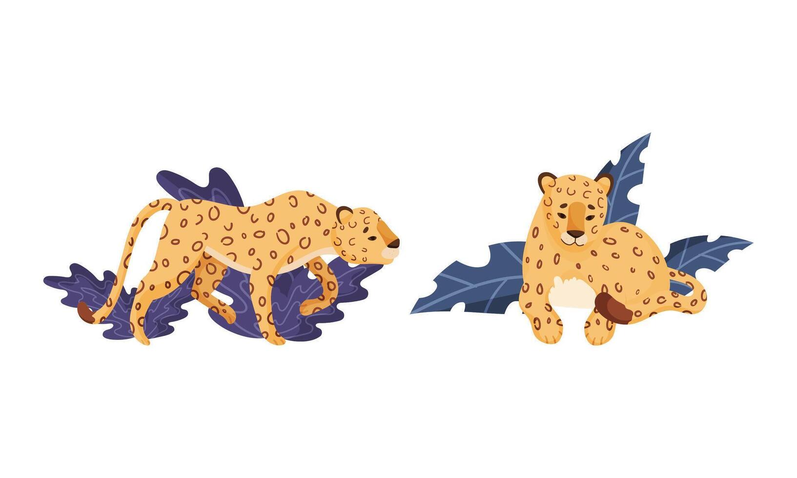 Spotted Leopard or Jaguar with Yellow Skin Standing and Sitting in Tropical Leaves Set vector