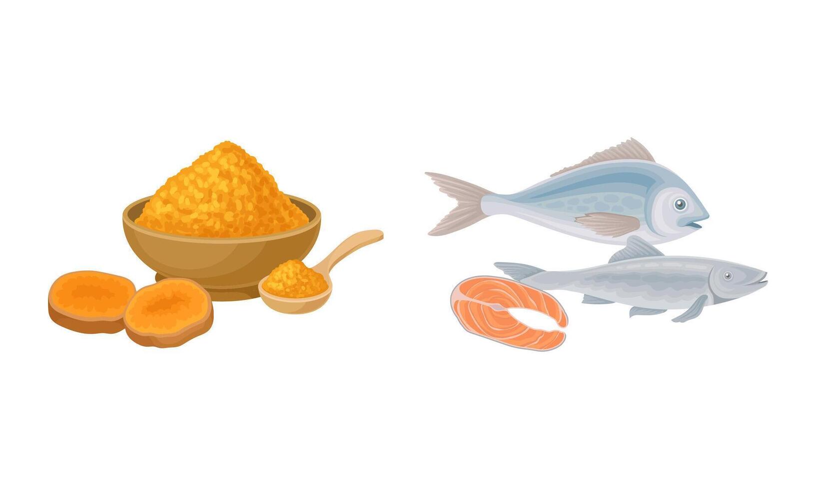 Tumeric Orange Powder in Bowl and Fish as Healthy Balanced Food Set vector