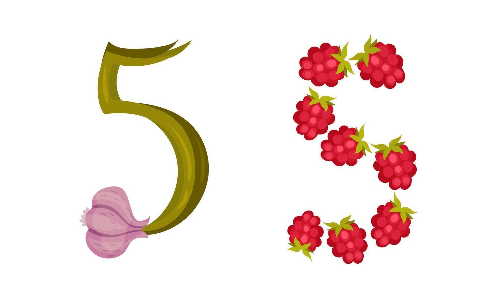 Number 5 Five made of fresh garlic and raspberry cartoon illustration vector