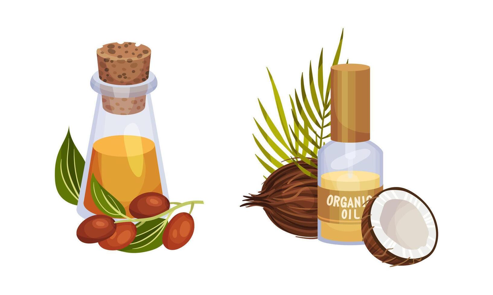 Jojoba and Coconut Organic Oil in Jar with Green Foliage Set vector
