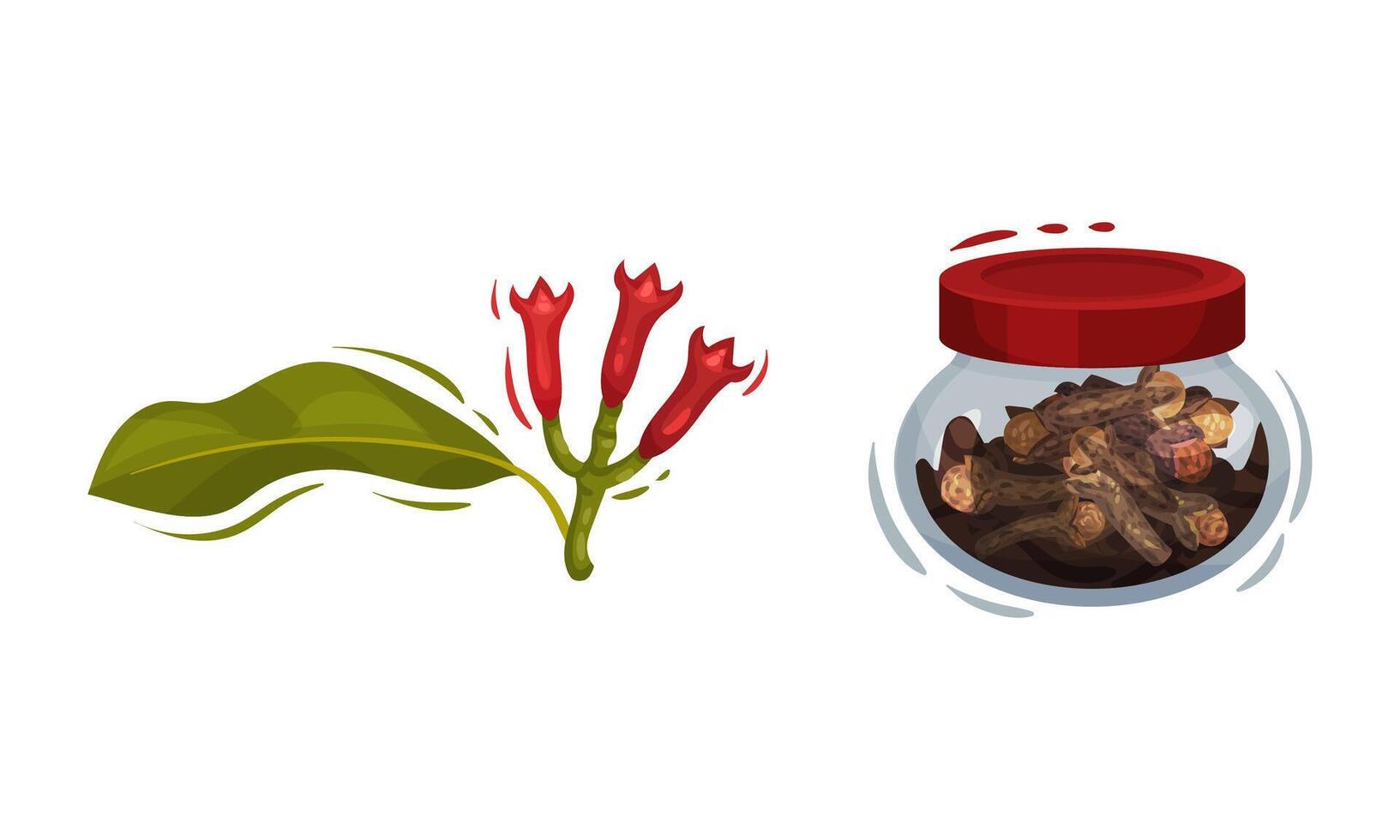 Dried Clove Condiment in Jar and Blooming Flower Bud Set vector