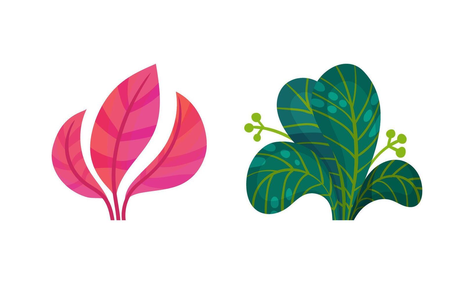 Bright Exotic Grass and Fancy Plant with Shaped Leaf Set vector