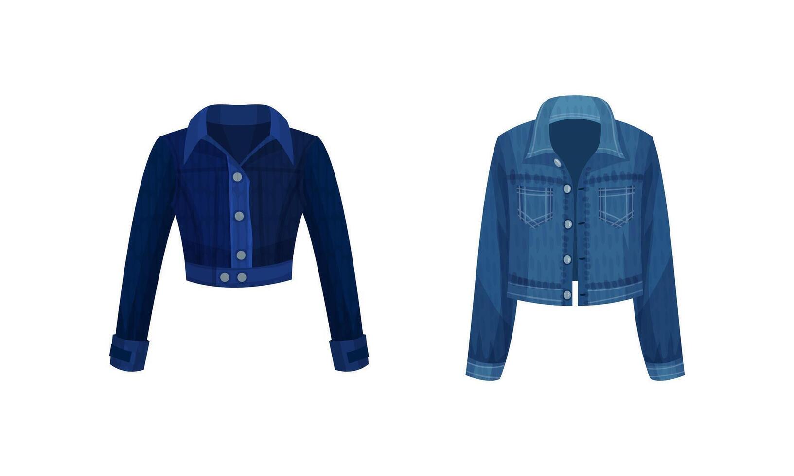 Fashion denim clothes set. Trendy female jacket illustration vector