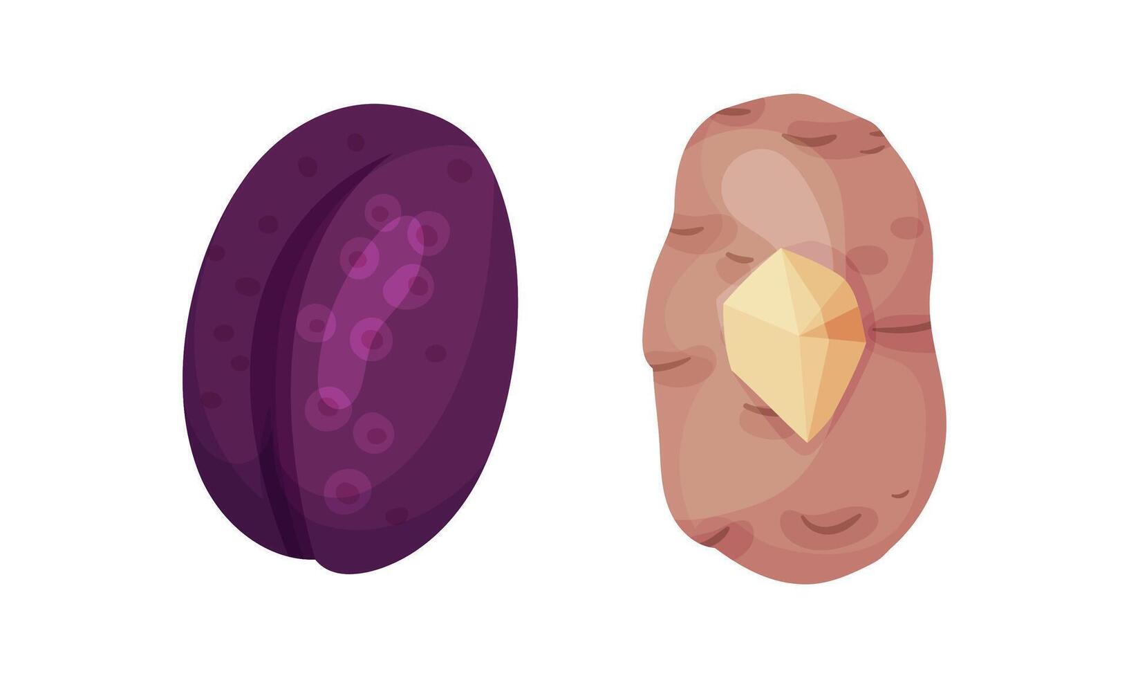 Number 0 Zero made of fresh plum and potato cartoon illustration vector