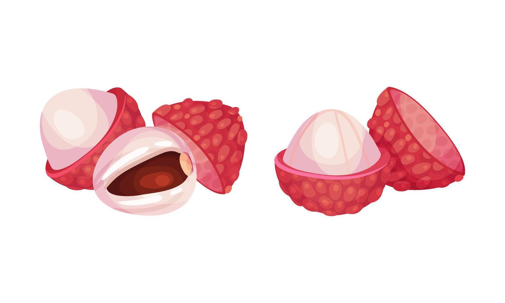 Set of peeled fresh tropical fruits illustration vector