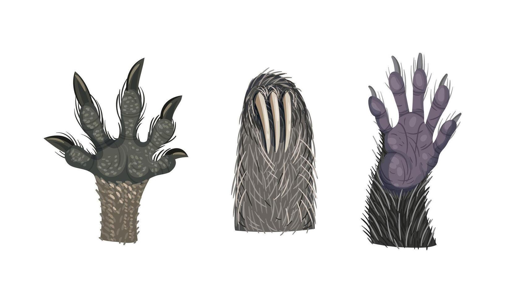 Animal Limb with Primate Hairy Paw and Sloth Claw Set vector