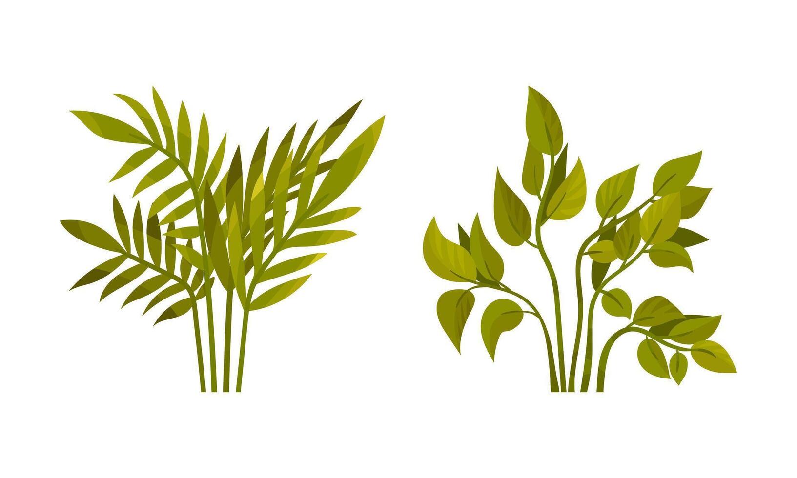 Green Grass with Stalk and Leaves as Outdoor Growth Set vector