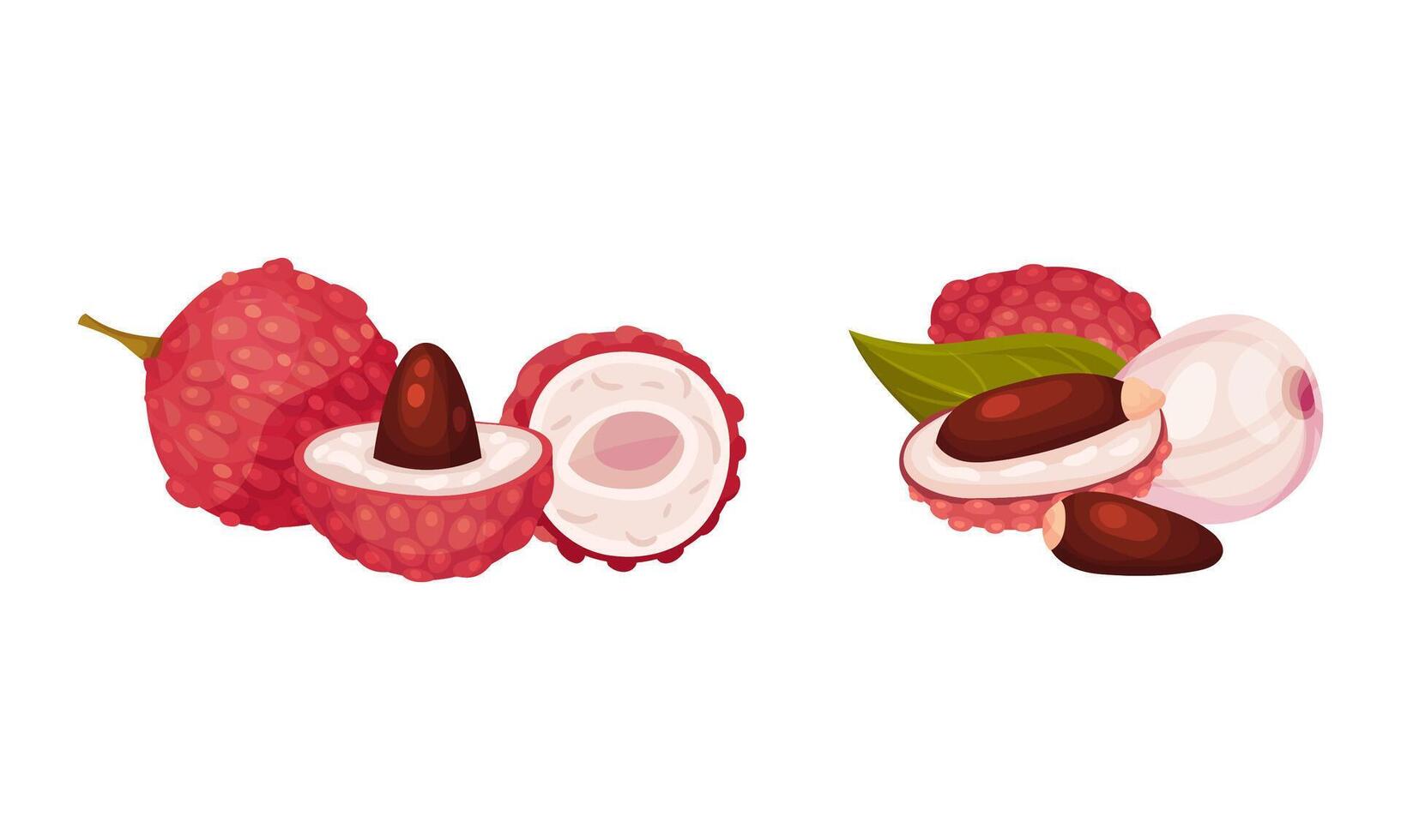 Ripe lychee with green leaves set. Fresh exotic tropical fruit, vegetarian product illustration vector